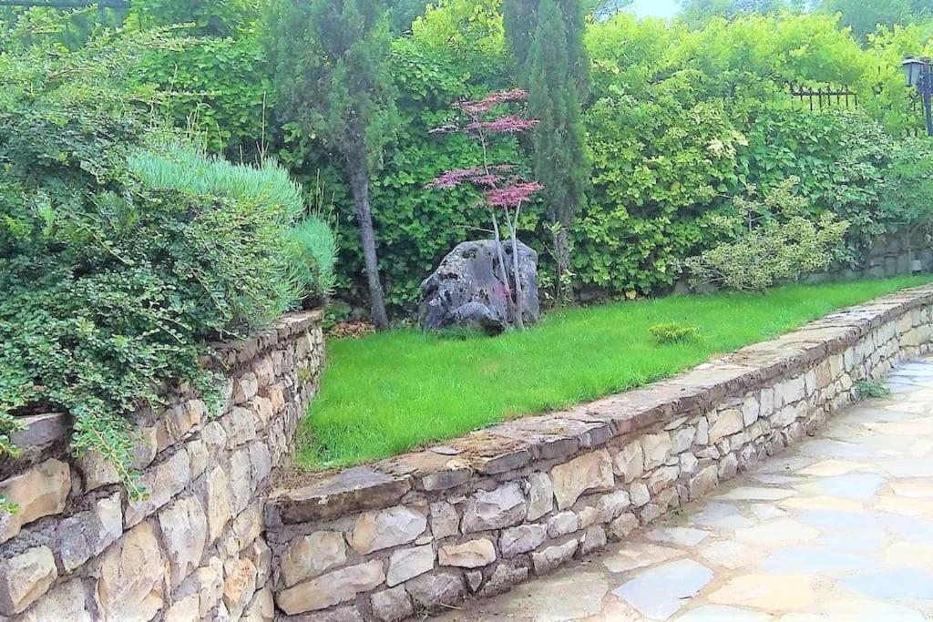 Villa Tethys Mountain Resort Zákas Dış mekan fotoğraf