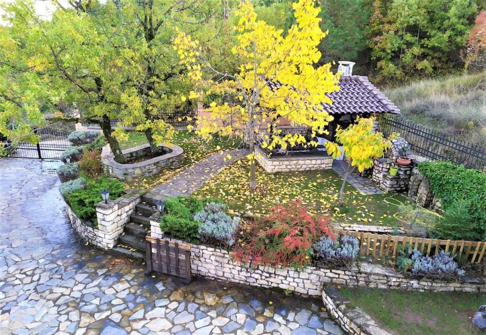Villa Tethys Mountain Resort Zákas Dış mekan fotoğraf