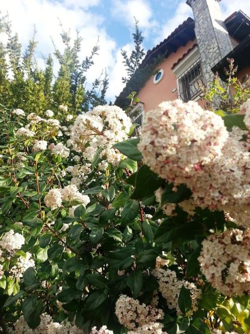 Villa Tethys Mountain Resort Zákas Dış mekan fotoğraf