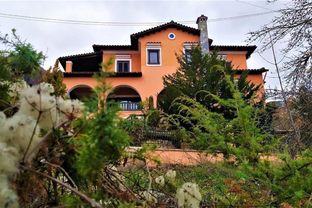 Villa Tethys Mountain Resort Zákas Dış mekan fotoğraf