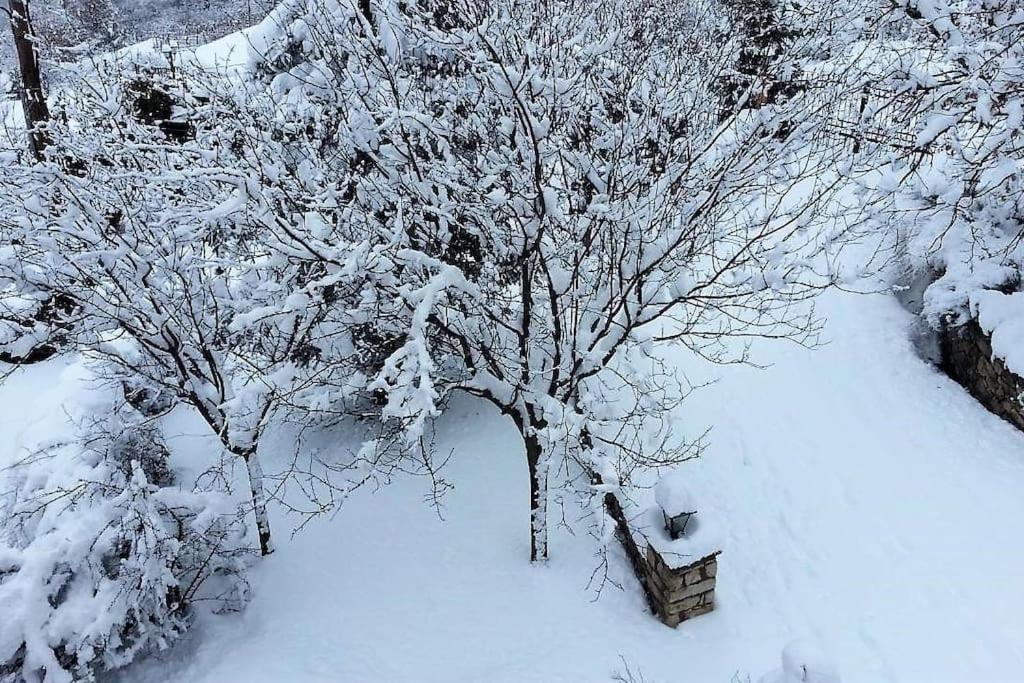 Villa Tethys Mountain Resort Zákas Dış mekan fotoğraf