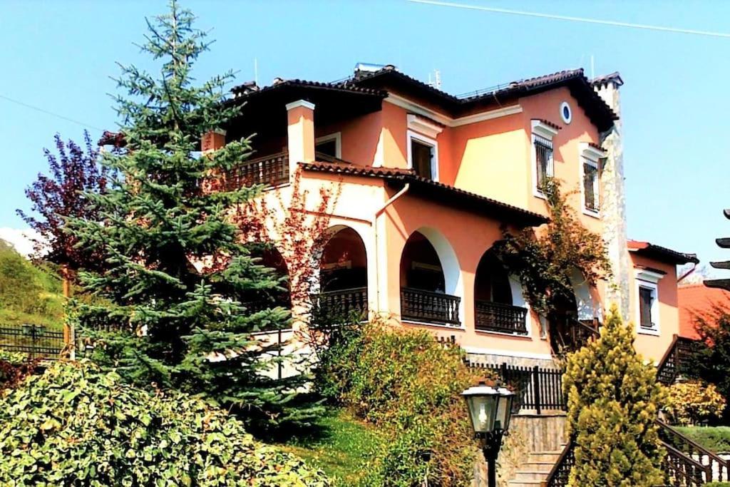 Villa Tethys Mountain Resort Zákas Dış mekan fotoğraf