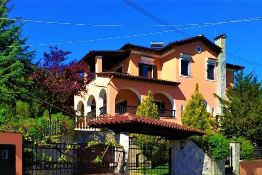 Villa Tethys Mountain Resort Zákas Dış mekan fotoğraf
