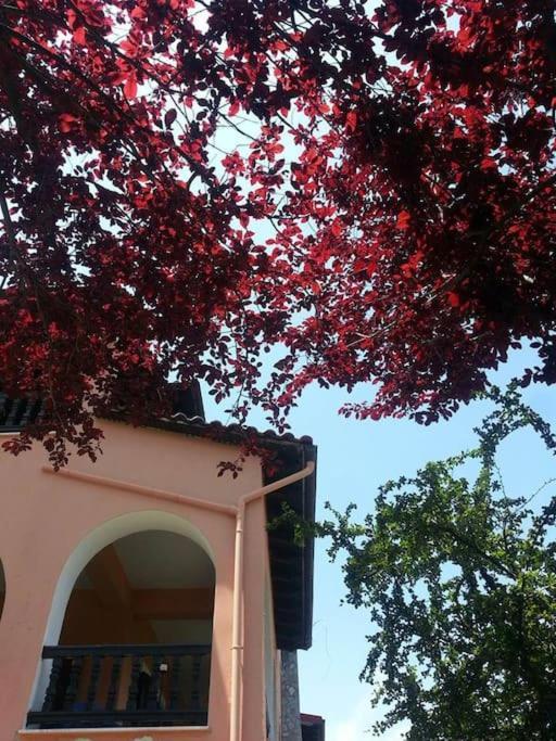 Villa Tethys Mountain Resort Zákas Dış mekan fotoğraf