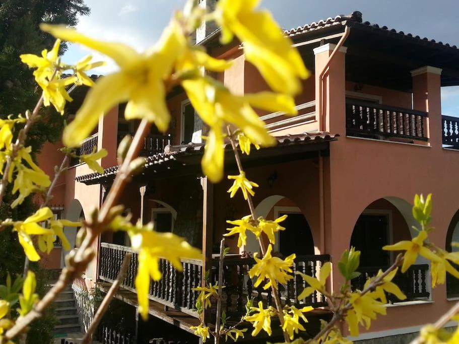 Villa Tethys Mountain Resort Zákas Dış mekan fotoğraf