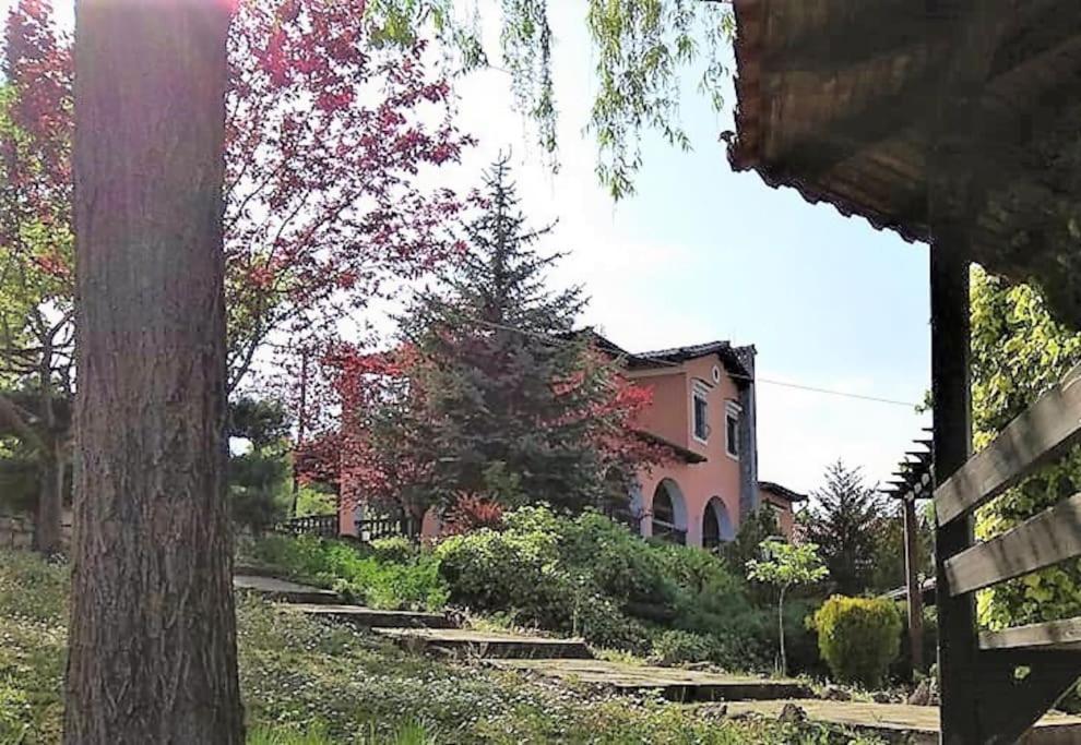 Villa Tethys Mountain Resort Zákas Dış mekan fotoğraf