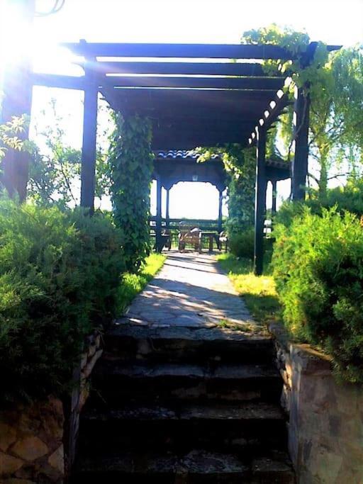 Villa Tethys Mountain Resort Zákas Dış mekan fotoğraf