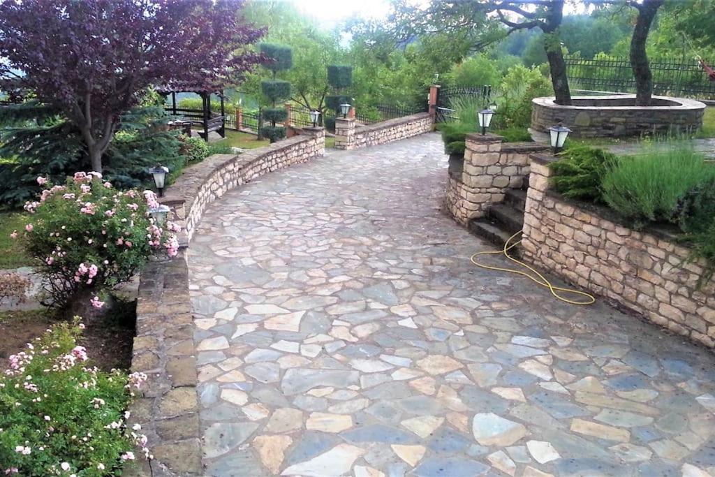 Villa Tethys Mountain Resort Zákas Dış mekan fotoğraf