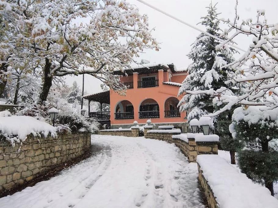 Villa Tethys Mountain Resort Zákas Dış mekan fotoğraf