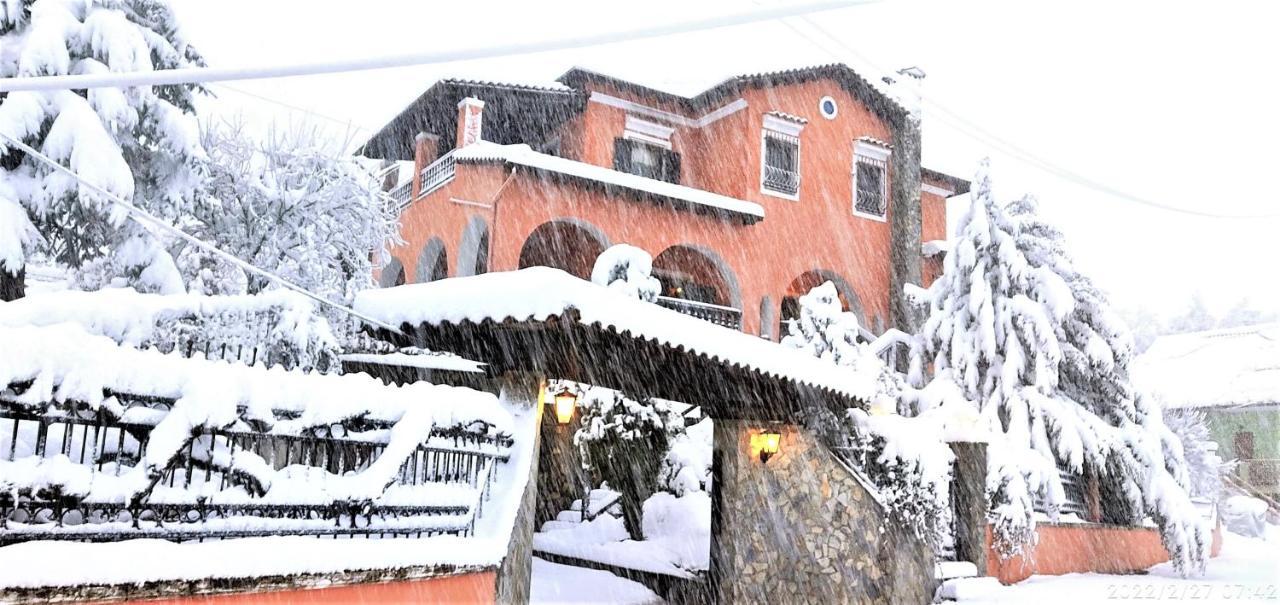 Villa Tethys Mountain Resort Zákas Dış mekan fotoğraf